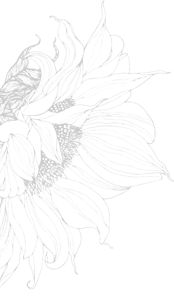 image-bg-01